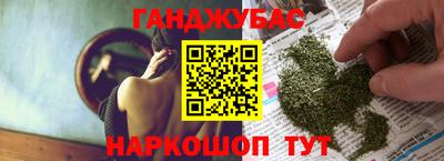 шишки Дубна