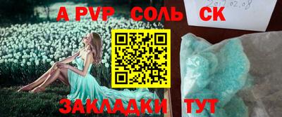 шишки Дубна
