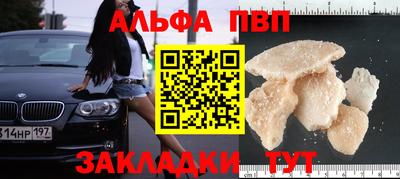 шишки Дубна