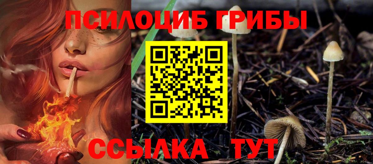 Москва  Псилоцибиновые грибы ЛСД  Вход с VPN  Галлюциногенные грибы ЛСД 