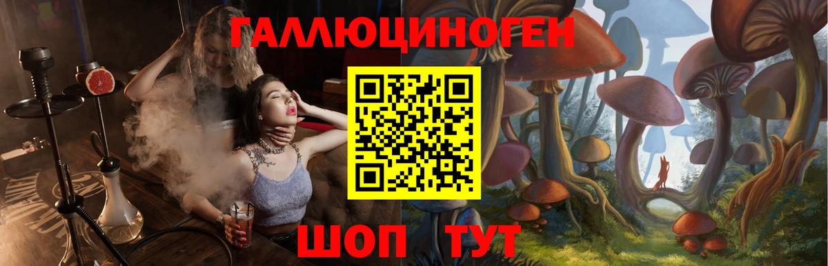 Псилоцибиновые грибы мухоморы Москва